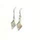 Dazzling Crystal Earrings