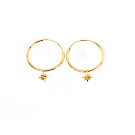 Earrings with Star Charm