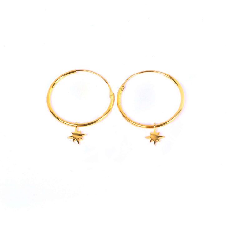 Earrings with Star Charm