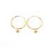 Earrings with Star Charm